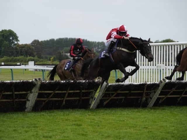 May evening racing at Fontwell Park