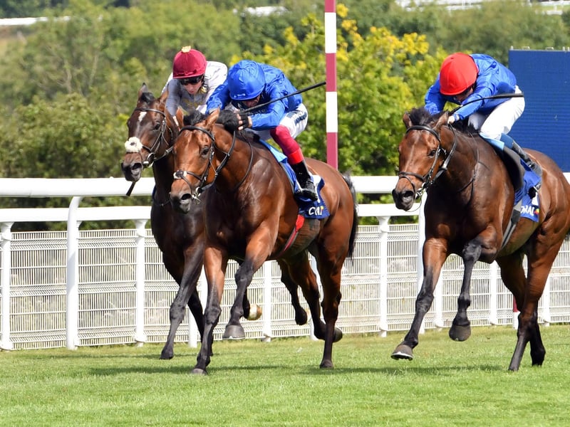 QATAR GOODWOOD THURSDAY
GOODWOOD, CHICHESTER
ENGLAND
JULY 28th 2022
PHOTOGRAPHER: Malcolm Wells
// NOTE: these are race results not necessarily who is in the picture //
Meeting: QATAR GOODWOOD FESTIVAL MEETING
THIRD DAY
Race:First
Time:1.50pm
1st:Warren Point
Jockey:William Buick
2nd:Blue Trail
Jockey:Frankie Dettori
3rd:Migdam
Jockey:Ryan Moore
Picture: Malcolm Wells
Professional Photographer
E: malcolmrichardwells@gmail.com:Images from Ladies' Day at Glorious Goodwood - the Qatar Goodwood Festival - in 2022