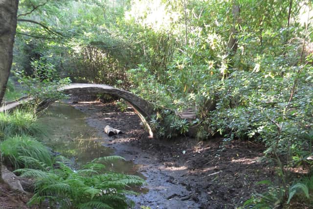 Fish were left floundering when a Storrington stream dried up in the heatwave weather