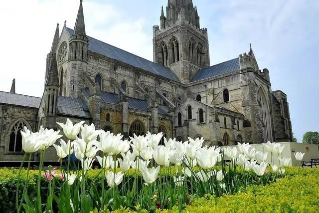 Chichester among UK's most expensive wedding locations, new study finds