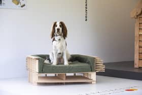 Barkitecture kennel design competition at Goodwoof. 