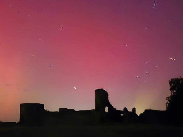 Pevensey Castle. Photo by Kim Larrad-Tye