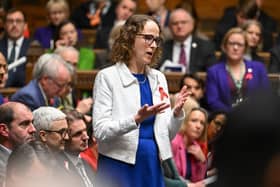 Mid Sussex MP Alison Bennett. Photo: House of Commons