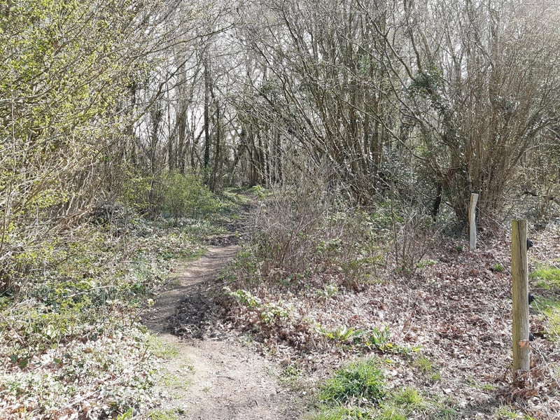 At the end of the fence, you can turn back into the woods on the left and follow the path to another stile.