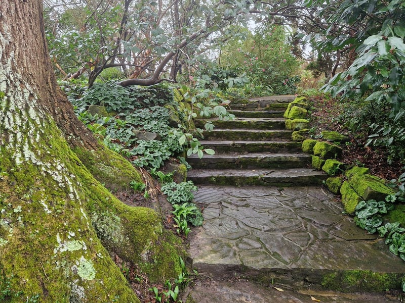 Borde Hill