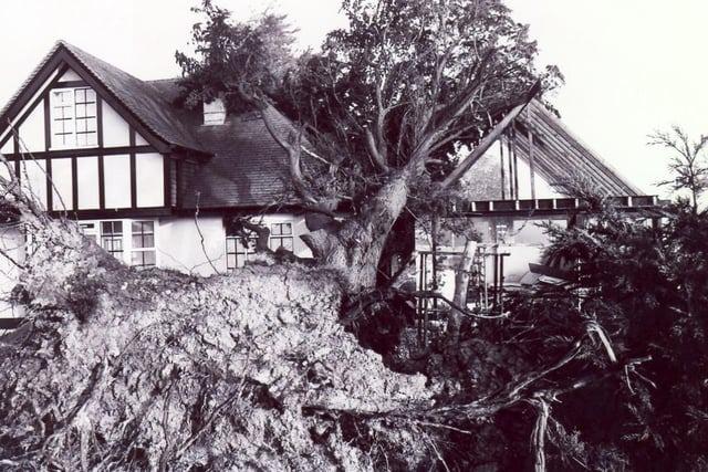 The Great Storm of 1987 in Eastbourne: 21 pictures of the destruction in the town