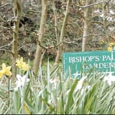 Bishops's Palace Garden, Chichester.