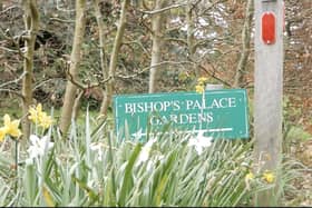 Bishops's Palace Garden, Chichester.