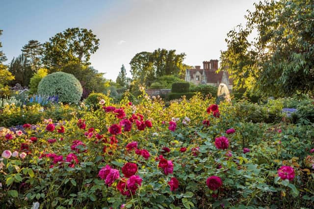 Jay Robin's Rose Garden at Borde Hill, captured by Clive Nichols