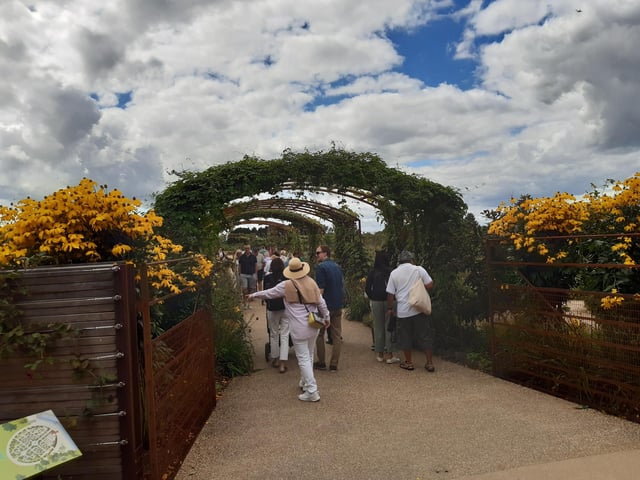 RHS Garden Wisley is a great day out, and it's only just outside of Sussex. Picture: Katherine HM