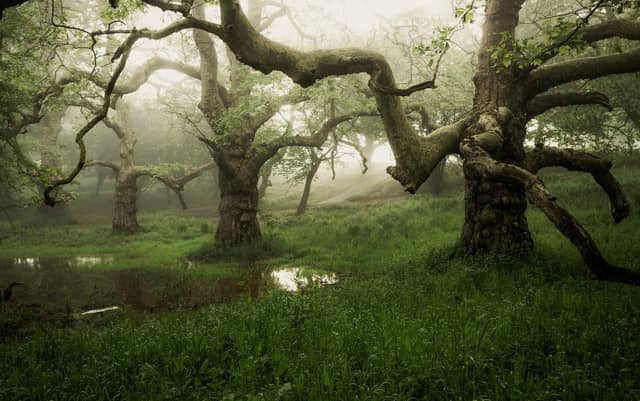 Three Giants by Richard Murray WINNER MAIN CATEGORY SDNP PHOTO COMPETITION.