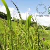 Our South Downs Sustainability Network