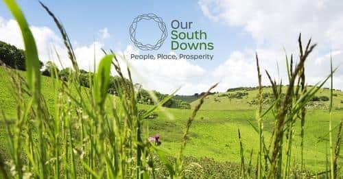 Our South Downs Sustainability Network
