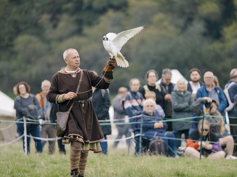Battle of Hastings reenactment at Battle Abbey 2025. Pic supplied by Tom Arber/English Heritage.