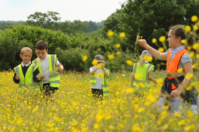 Children can enjoy a range of outdoor activities at Chesworth Farm, Horsham, RH13 0AA. The 90 acre farmland is great for walks and cycles with the family this summer holiday. The farm incorporates grassland, the River Arun, wet meadow and access to the countryside for a free day out in nature.