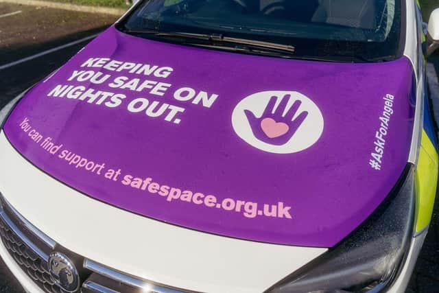 The Violence against Women and Girls team will be in Vicarage Fields in Hailsham from 11am to 3pm to show what they offer to the community on Friday, May 26.