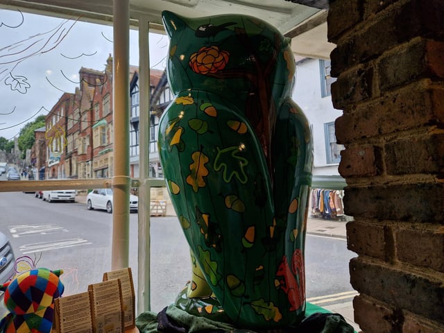 Colourful owls have flown into Arundel as part of the Wild in Art event The Big Hoot trail, raising money for Chestnut Tree House.