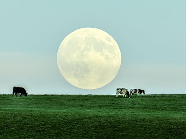 Cold Moon rising over South Downs by Gabriel Ondo-Estok