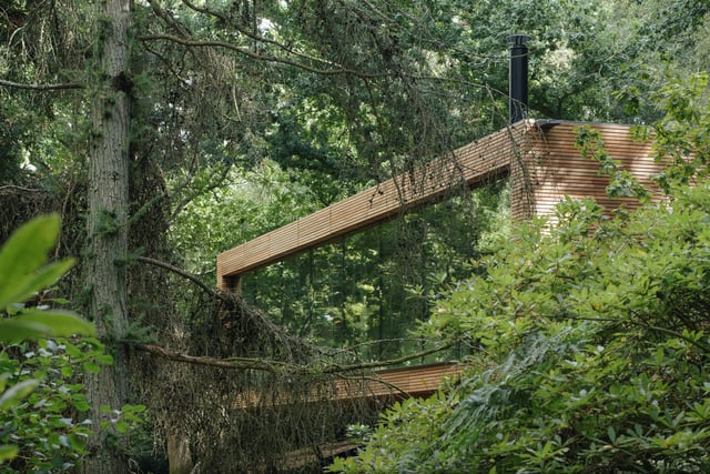 The luxury treehouse has opened its doors to guests.