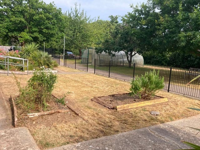 After the Paul Wicks Garden Services free job