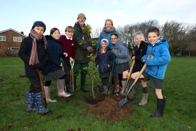Pupils from Fishbourne Primary School help with planting at Fishbourne Roman Palace