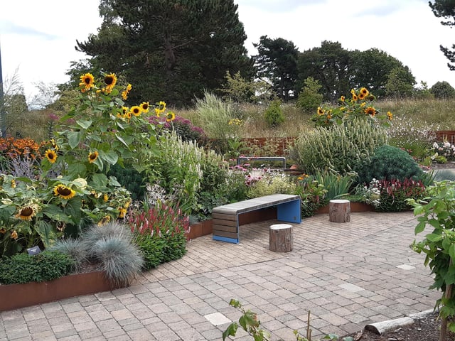 RHS Garden Wisley is a great day out, and it's only just outside of Sussex. Picture: Katherine HM