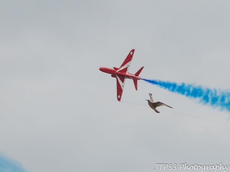 Airbourne in Eastbourne 2024 Day 1 (August 15). Photo by Jeff Penfold JTP53 Photography