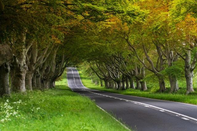 A new report ranks different roads in West Sussex based on the amount of time people are delayed during their journeys