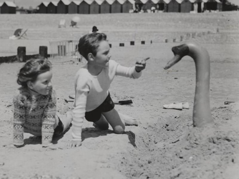Like some monster coming out of the sand, this toy swan gave the kiddies quite a surprise in Littlehampton.