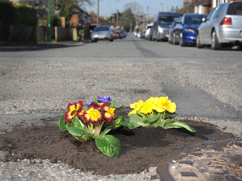 Harry's Pretty Potholes planting up potholes Orchard Road, Horsham.