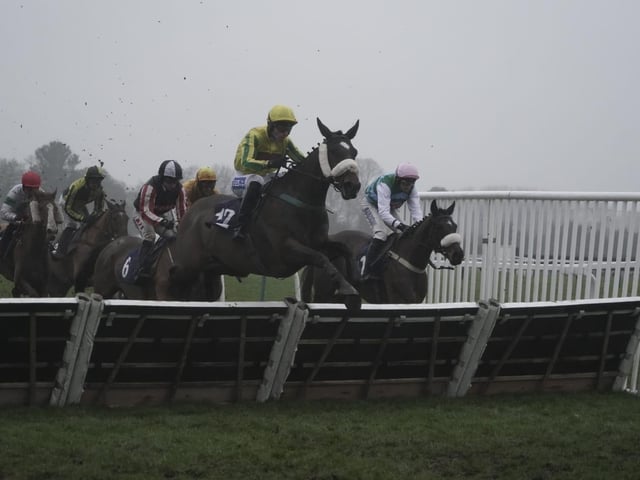 January jump racing at Fontwell Park, 2025