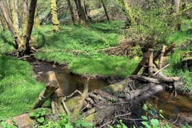 Projects that use nature to protect communities from flooding will receive an investment of £25million, Environment Minister Rebecca Pow announced on September 22 - including the Dorking Natural Flood Management Scheme in Surrey. Picture contributed