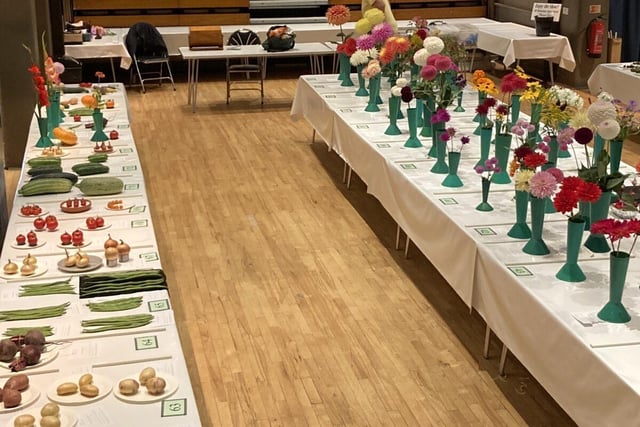 Overview of at Southwick and Fishersgate Horticultural Society's annual summer show. Picture: Submitted