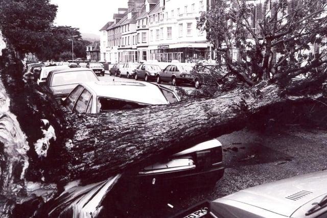 The Great Storm of 1987 in Eastbourne: 21 pictures of the destruction in the town