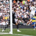 Brighton and Hove Albion keeper Rob Sanchez was in fine form against Leeds United at Elland Road