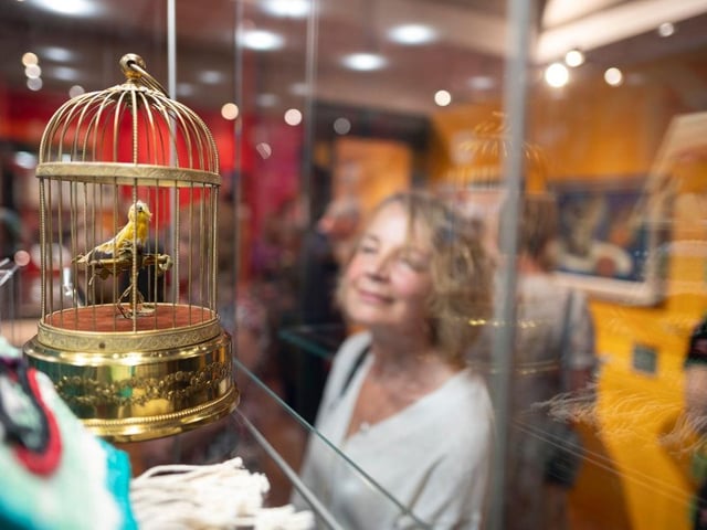 Pictures from the opening of the Art of Chichester exhibition at the Novium Museum