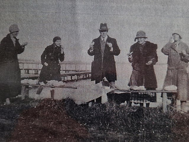 A picnic in Denmark in 1924