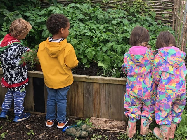 Apron works with local schools to show children the magic of planting a seed, tending to a plant and harvesting their own food