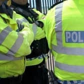Police have released the latest crime round-up across the Chichester district.