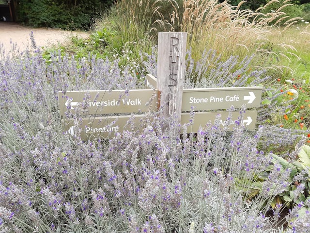 RHS Garden Wisley is a great day out, and it's only just outside of Sussex. Picture: Katherine HM
