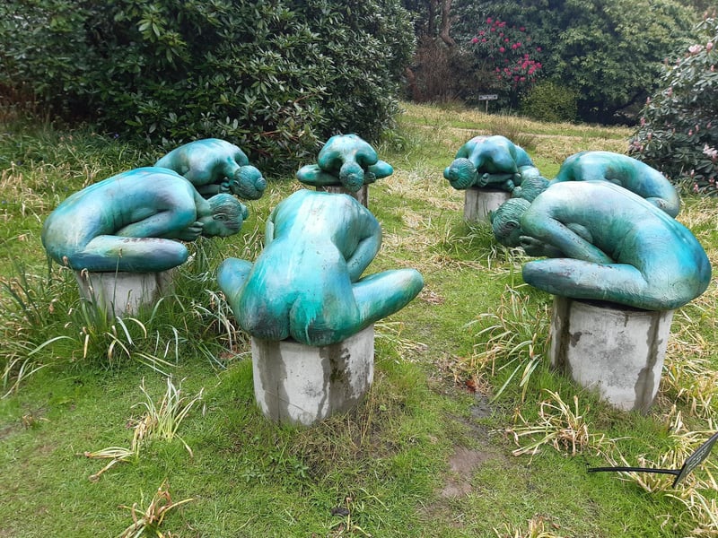 Leonardslee Gardens, in West Sussex, reopened in 2019 after a closure of 10 years. The magnificent Grade I listed garden was nearly lost forever and has been the subject of the largest garden restoration in England and possibly Europe.