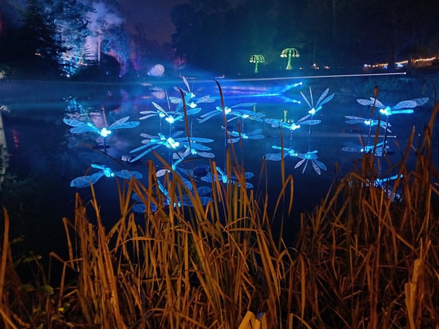 Leonardslee Illuminated is on now and runs on selected dates until December 21, 2023