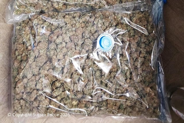 Man jailed after police seize ‘437 cannabis plants’ and ‘5kg of cropped ...