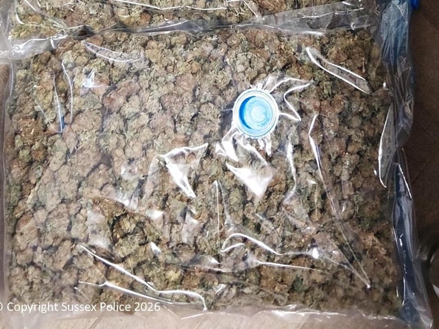 In total, 437 cannabis plants were found and seized, as well as 5kg of cropped cannabis.