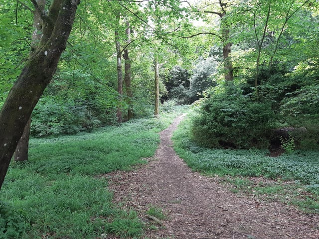 Work your way through the woods in the same direction