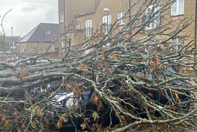 Brighton, Chichester, Worthing, Hastings, Eastbourne and Shoreham (pictured) and other places across the county have all been affected by the heavy rain and winds brought by Storm Claudio.