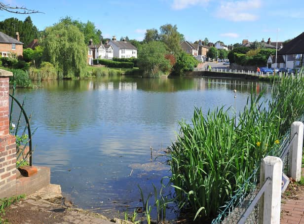 Mid Sussex District Council has launched a fundraising campaign for a floating duck house on Lindfield pond