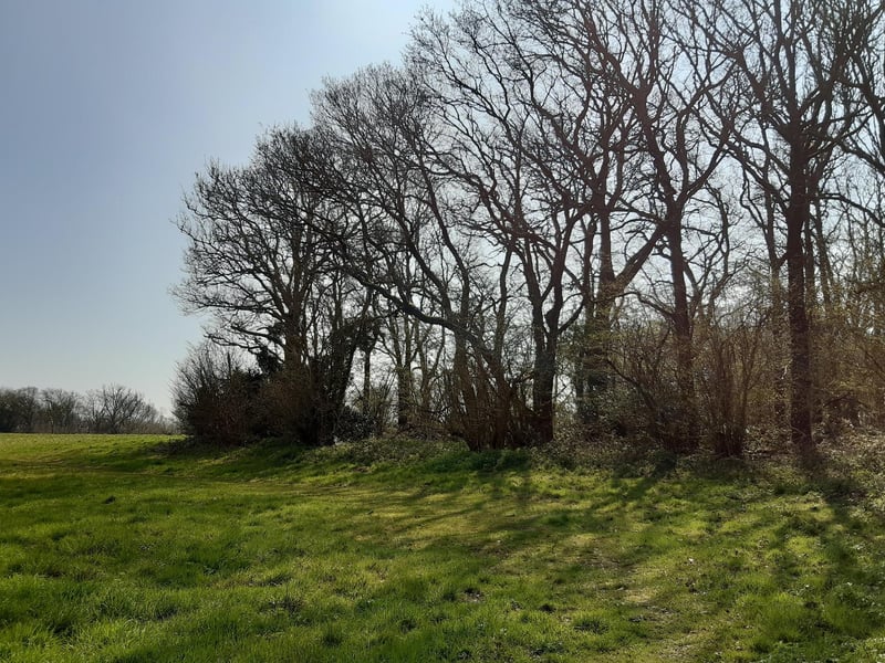 When you have finished, follow the path along the back of the woodland, with the trees on your right.