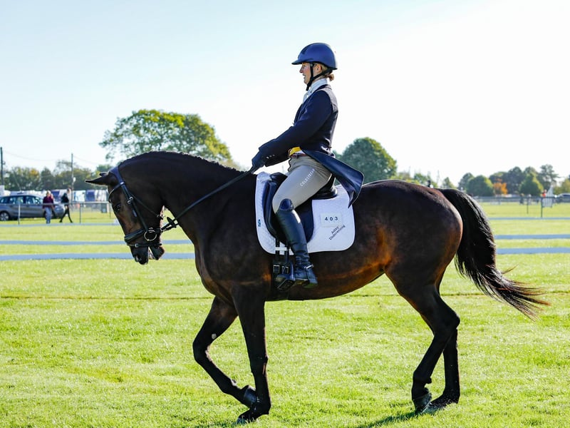 The Autumn Show and Horse Trials are on Saturday and Sunday, September 21-22