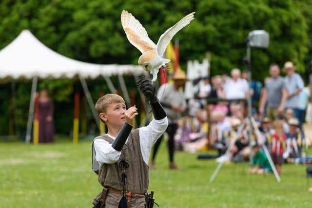 Flying an owl at the Skirmish